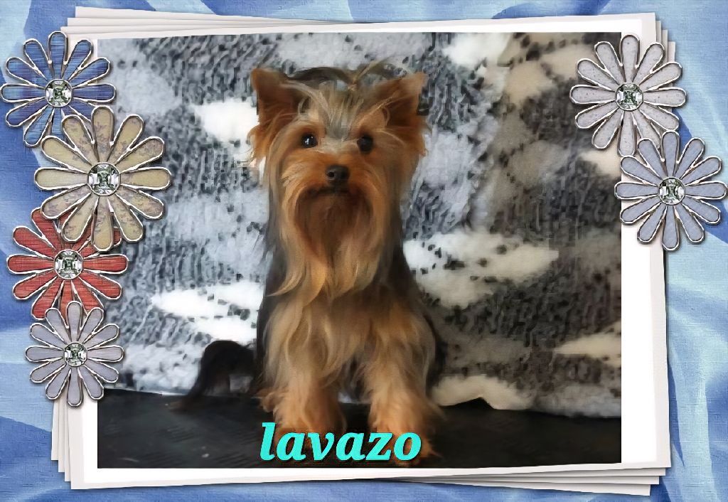 Lavazo de la Calà Paumaju