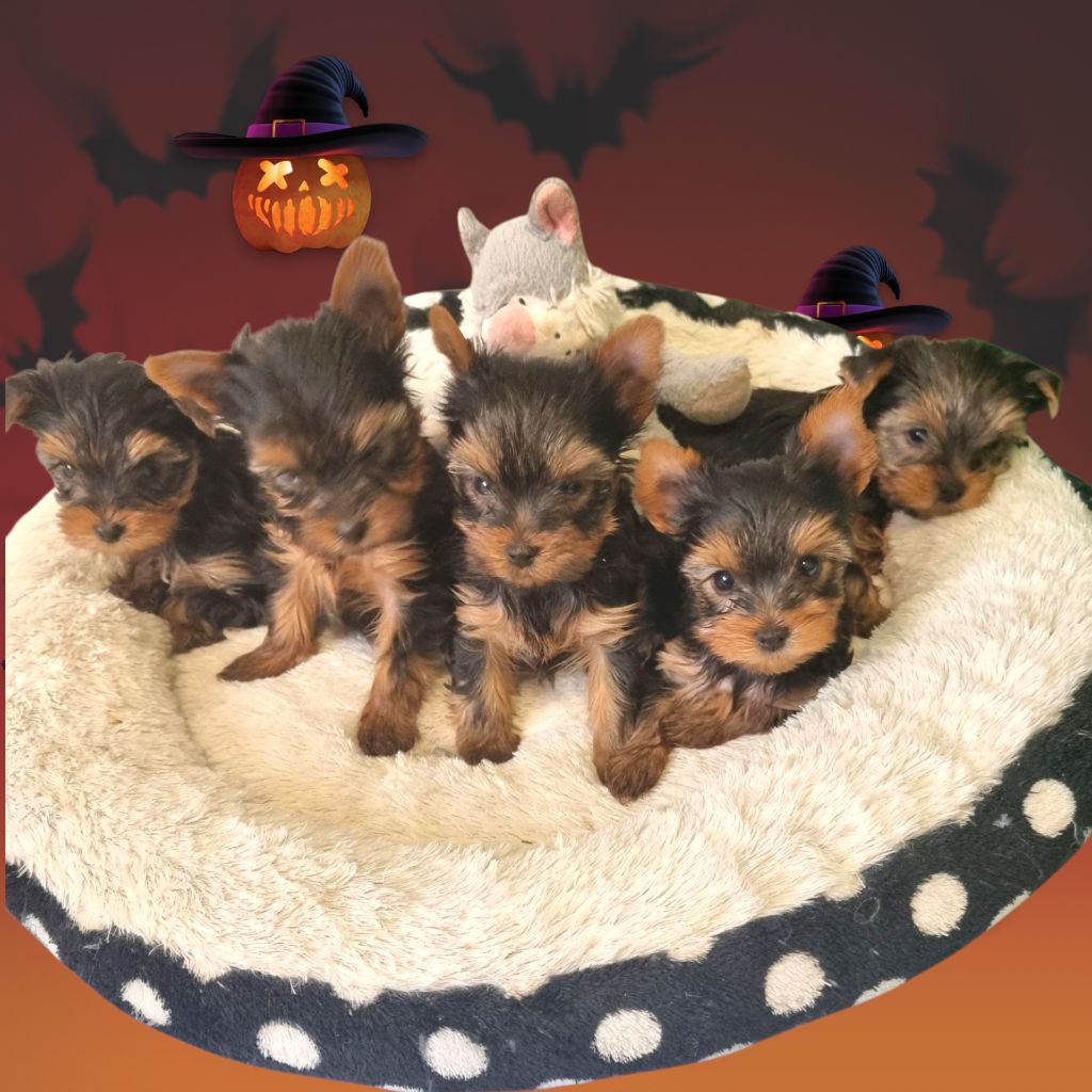 Nos derniers bébés 